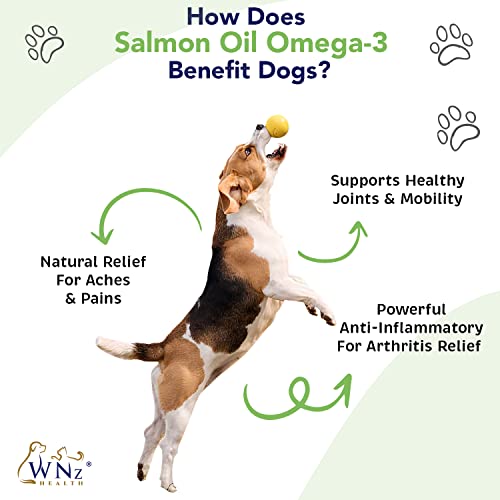 Hemp & Turmeric Hip And Joint Chews For Dogs - Dog Hemp Chews For Pain Relief & Arthritis - Anti-Inflammatory Hemp Dog Treats W/ Msm, Hemp Oil, Glucosamine And Chondroitin For Dogs 60 Chews, 8 Oz #TOP2
