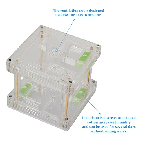 Caja expositora acrílica de hormigas Qcwwy con red de ventilación 3