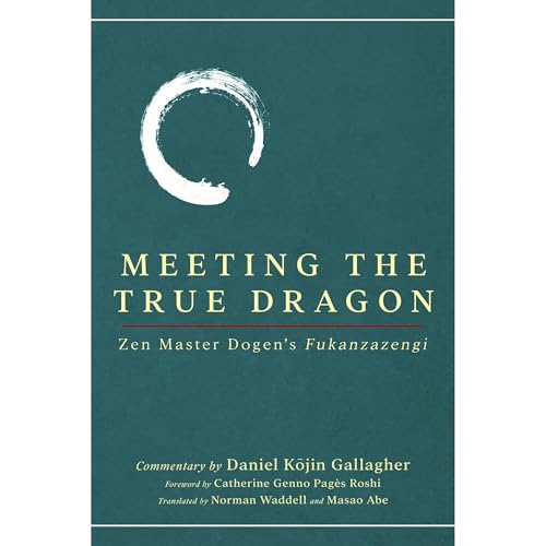 Meeting The True Dragon Audiolibro Por Daniel Gallagher arte de portada
