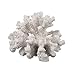 White Coral Decor - Coral Reef Decor (3.5inx4.5inx4in) - Resin Coral Decoration - Faux Coral - Nautical Decorations - Beach Home Decor - Decorative Coral