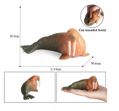 Image of Amitasha Aquatic Animal Toy for Kids Realistic Walrus Fish Squishy Figurines Rubber Sea Animal Soft Squeeze Toy for Boys Girls Lookalike Ocean Creatures Educational Gift