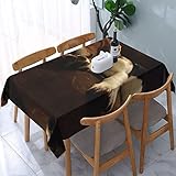 Rechteckige Tischdecke, Motiv: schlafender Hund, auslaufsicher und wasserdicht, Tischdecke für den Außenbereich, Partys, Weihnachten, 137 x 183 cm