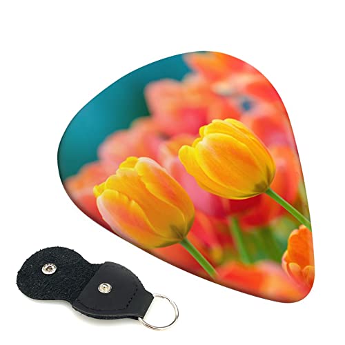 M^[sbN 6Zbg 0.46mm 0.71mm 0.96mm GLM^[ x[XpsbN EN M^[ ABSf GNgbN AR[XeBbN y S gCAO sbNi IW`[bv j