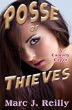 Posse of Thieves (The Tinman Series)