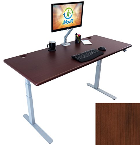 Lander Electric Adjustable Height Sit Stand Desk, Silver Base
