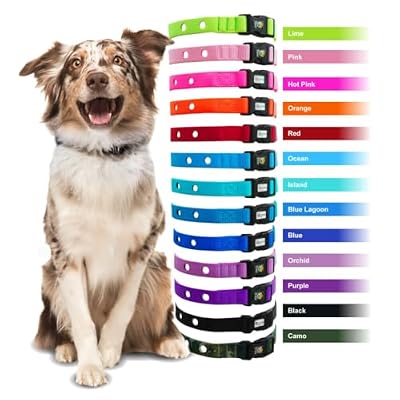 Heavy Duty Nylon Replacement Collar Strap - Compatible with Nearly All Brands and Models of Underground Electric Dog Fences and Training Collars Black