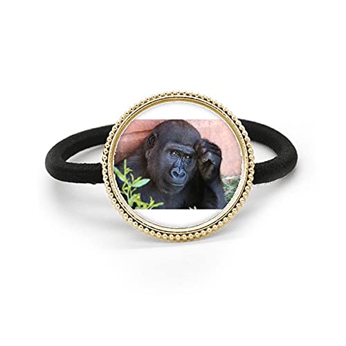 Coletero de chimpancé plateado ideal para tus peinados de oficina y cenas