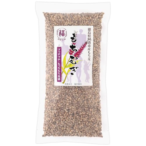 もち麦 パッケージ 国産 無添加 食物繊維 ダイシモチ 大麦 福井園芸 500g