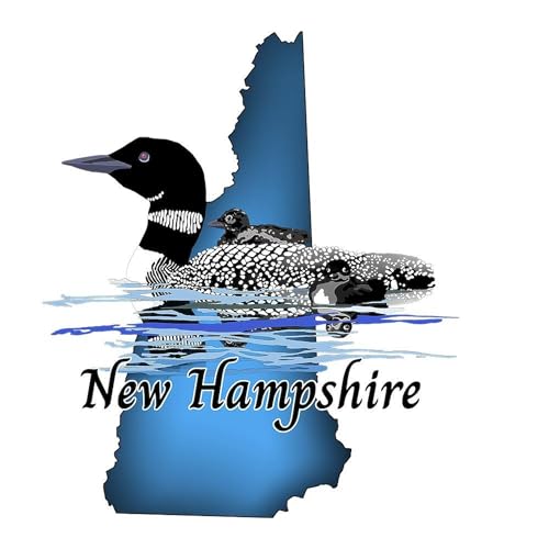 Taza de cerámica CafePress New Hampshire 15 oz miniatura 3