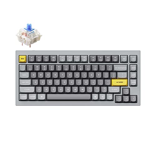 Amazon.co.jp: Keychron Q1 75%レイアウト RGB ホットスワップ可能