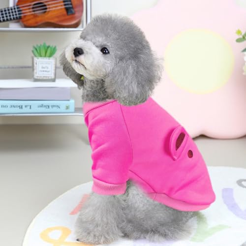 Image of Rose Cute Dog Sweater Soft Winter Clothes for Small Dogs, XS