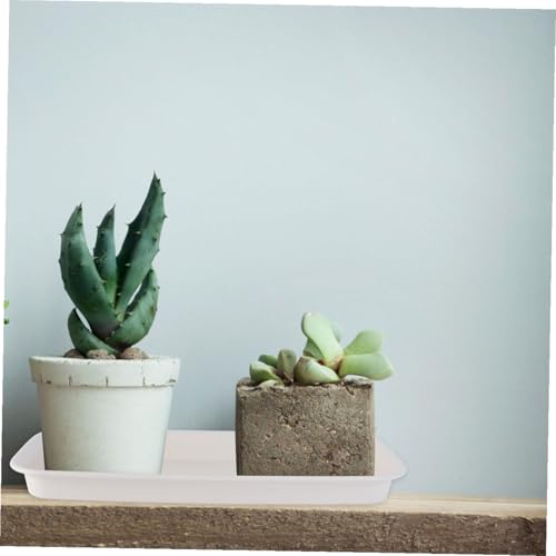 Soucoupes rectangulaires pour pots de fleurs Healvian avec plateaux à eau