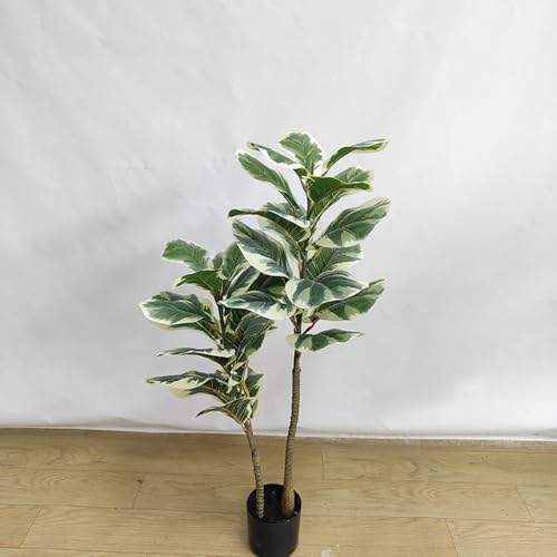 ウンベラータ 観葉植物 170cm」の人気商品一覧 | 安い商品を通販サイト