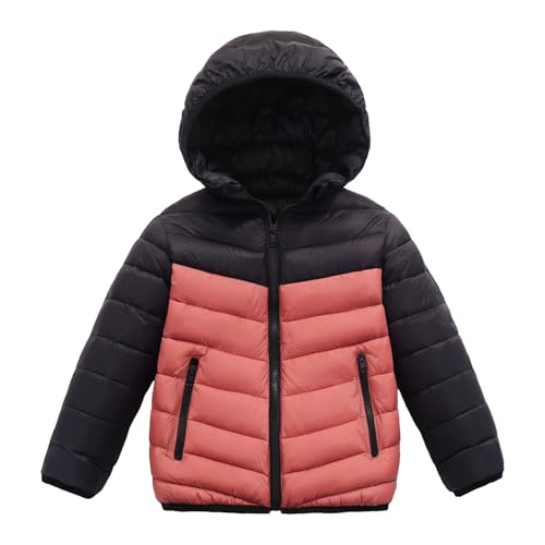 [JUJUGEN]yH~̒ԐlCz_ER[g LbY ̎q _EWPbg K[Y j̎q ~ ۉ h O t[ht q y ʊw w  Ǝ  ~̊Ԏ i  킢 gAE^[