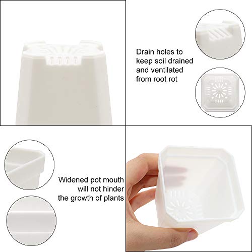 Foxany 30 Pcs 3" Nursery Pot, Thick Plastic Square Flower Planting Pots, Plant Seedling Pots, 30 Seed Starting Pots With 30 Saucers - White #TOP3