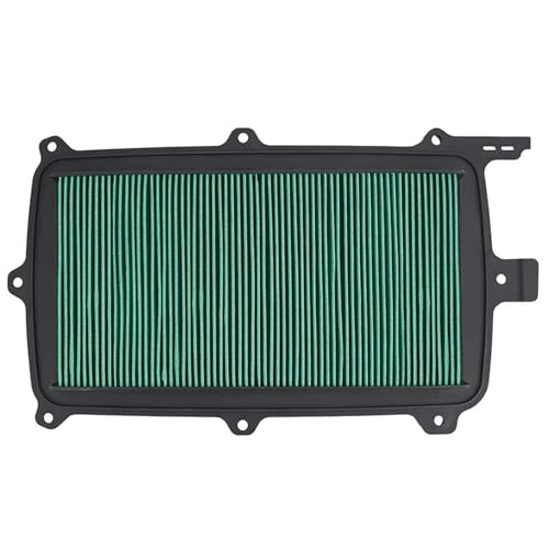 Filtre d'admission premium pour Talon 1000X-4 Édition Spéciale - 2