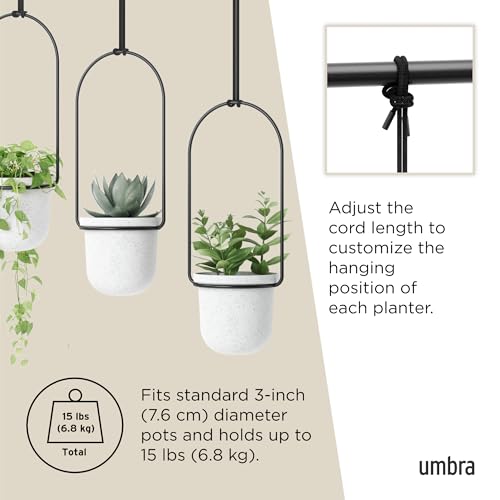 Umbra Triflora Hanging Planter for Window, Indoor Herb Garden, Set of 3, White/Black - Image 6
