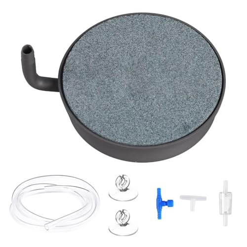 MiOYOOW ANAEGAXg[AnouXg[AXeXX`[x[XA1.5m \tg_f`[u k͔|p