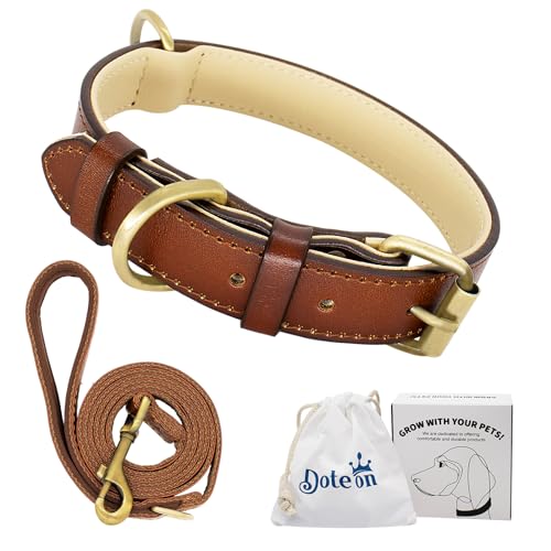 Dote on Leather Dog Collar and Lead Set Adjustable Genuine Soft Leather Dog Collar of Padded for Small Medium Large Dogs(Brown, S)