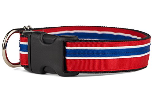 If it barks 1" designer striped dog collar (medium (15"…
