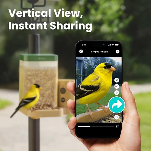 Image of Birdfy Smart Bird Feeder with Camera for Rookie, Camera Bird Feeder Dual Night Vision, AI Recognition IP66 Waterproof for BirdLovers, 1.3L Capacity
