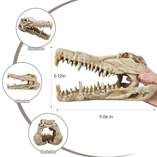 Image of Dinosaur Skull Aquarium Decor - Ideal for Fish Tank Decorations, Terrarium Decor, Aquarium Ornaments, and Bearded Dragon & Gecko Tank Accessories, Gift for Reptile & Fish Lovers