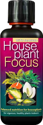 House Plant Focus 300ml
