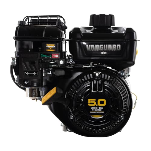 Briggs & Stratton 10V352-0029-F1 Vanguard 5 HP 169cc Horizontal Shaft