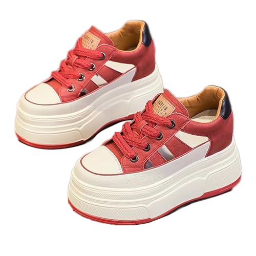 [LECMT] Xj[J[ fbLV[Y  [Jbg tbgV[Y fB[X C ɂȂ JWAV[Y r fB[X bh C ₷ tbgV[Y RtH[g 23.0cm 킢  풅p