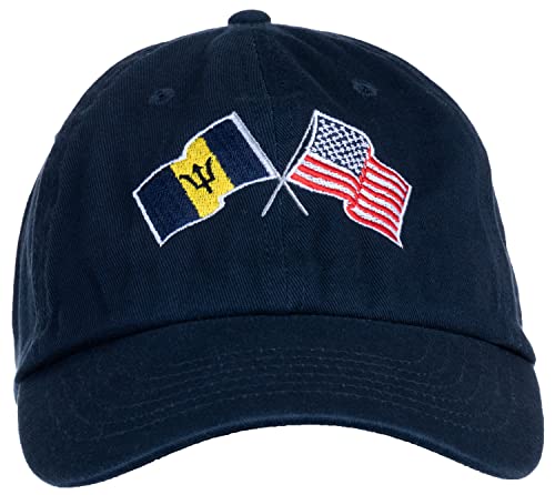 Image of Ann Arbor T-shirt Co. American Friendship Nations Flag Baseball Low Profile Dad Hat for Men Women