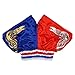 Anotherboxer Unisex Muay Thai Boxing Shorts Kickboxing Training for MMA Gear Combat Sports Fighting Equipment Breathable Elastic Waist（Blue+Red）