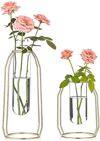 NUPTIO Vases Set of 2 Glass Vases with Metal Frame, Modern Black Frame Cylinder Clear Vase Planter Terrariums, Flower Holder Decorations for Wedding Living Room, Office, Party