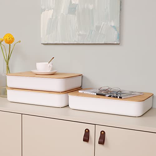 Citylife File Organizer With Bamboo Lid Plastic Storage Bin Project Case For Organizing A4 Paper, Scrapbook, Documents, Photo #TOP5