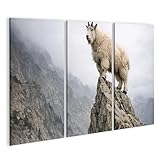 Elegante decorazione da parete per ogni casa: soggiorno, camera da letto, cucina, corridoio, cameretta dei bambini, ufficio o studio: questa tela multistrato aggiungerà carattere a qualsiasi stanza e garantisce un ambiente unico di benessere.