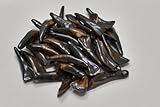 20 Drilled Genuine Brown Buffalo Teeth Tooth Beads Pendants Craft