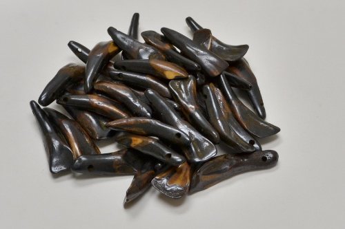 20 Drilled Genuine Brown Buffalo Teeth Tooth Beads Pendants Craft