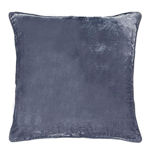 Beautyrest Beauty Rest Sandrine Decorative Pillow for Sofa Couch Bedroom Living Room, 26x26