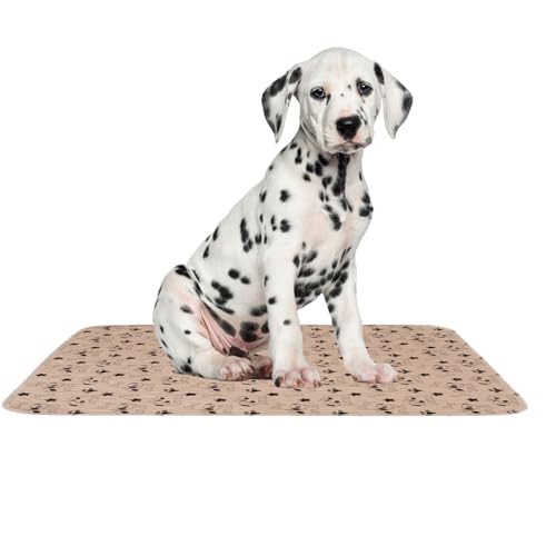Sucritude Assorbenti Per Cani - Tappetino Antiscivolo Per Addestramento Animali Domestici,Assorbenti Riutilizzabili E Lavabili | Per Casa Viaggio Recinto Gabbia Lettiera Gatto