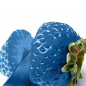 Haloppe 100 stks Aardbei Fruit Zaden voor Thuis Tuin Planten, heerlijke Aardbei Fruit Plant Zaden Bonsai Balkon Tuin Yard Decor Blauw