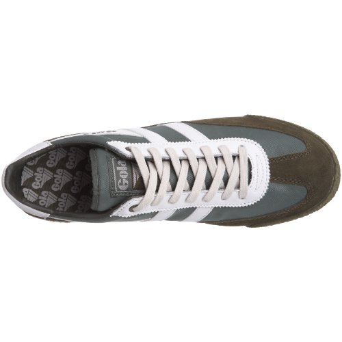 Image of Gola Harrier