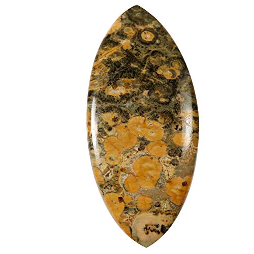 Jaspe peau de léopard naturel 37.65 cts en cabochon marquise d'exception