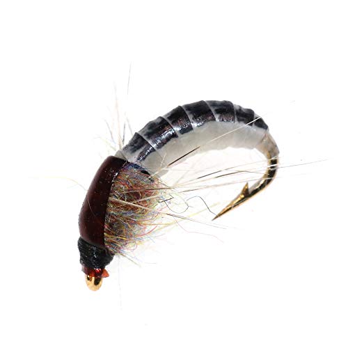Greatfishing 43528-25367 6Pc #12 Super Sturdy Realistic Nymph Scud Flies For Trout Nymph Beadhead Fishing Wet Assortment Flies thumb #4