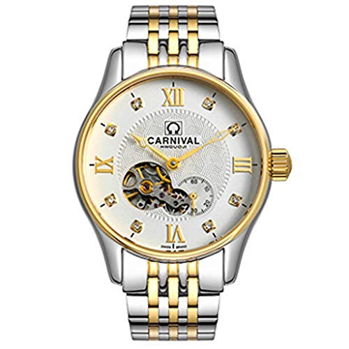 Preisvergleich Produktbild Carnival Uhr Herren Edelstahl Mechanische Armbanduhren Geprägte Hohl 39mm Dial Automatikaufzug Einfaches Geschäft A