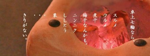 Amazon | 「杣人」卓上七輪用備長炭 （1kg) | 紀州備長炭窯元直送の店