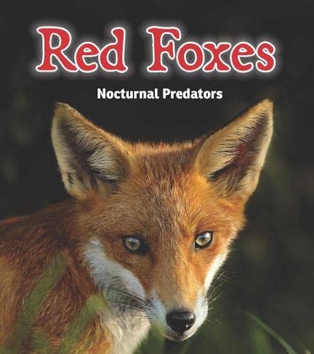 Red Foxes: Nocturnal Predators (Night Safari)