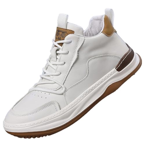 [JUI3N] Xm[V[Y {A Xj[J[ Y hC JWAV[Y nCJbg u[c gbLO nCLO N  NbV  oRC y ~C 傫TCY {A ۉ jO EH[LO ʋ zCg ʊw