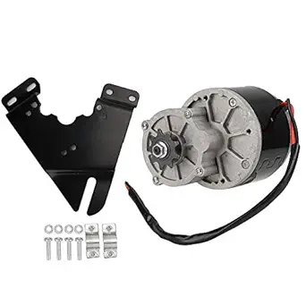 Reduction Electric Motor, 12V 250W 2950 RPM High Torque Gear Reduction Electric Motor DC Motors Reductor for E-Bike