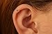 Silver Clip on Double Cartilage Piercing Hoop - Hypoallergenic Tiny Handmade 20 gauge Faux Spiral Helix - 925 Sterling Silver 7mm No Piercing Needed Fake Double Ear Cuff