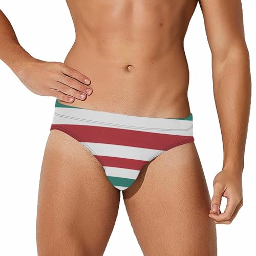 LGBT Rainbow Italian Flag Mens Swim Briefs Quick Dry Swim Trunk Bikini Underwear Swimsuit M