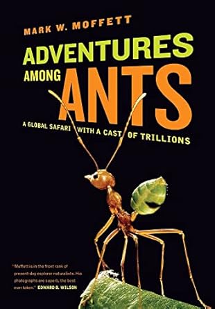 Adventures among Ants: A Global Safari with a Cast of Trillions